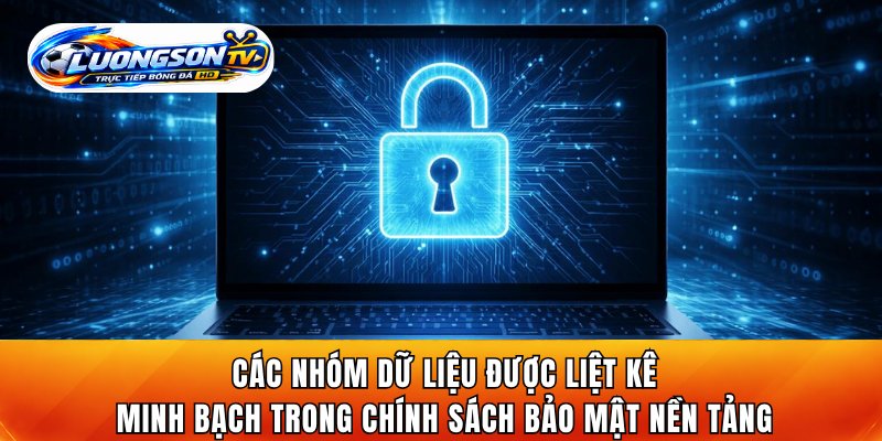Các nhóm dữ liệu được liệt kê minh bạch trong chính sách bảo mật nền tảng