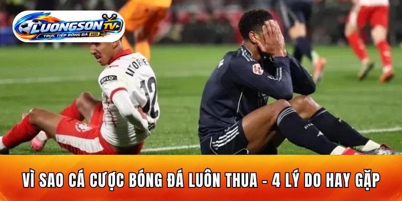 Vì Sao Cá Cược Bóng Đá Luôn Thua - 4 Lý Do Hay Gặp